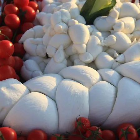 Hotel Royals Gate Rodi Garganico